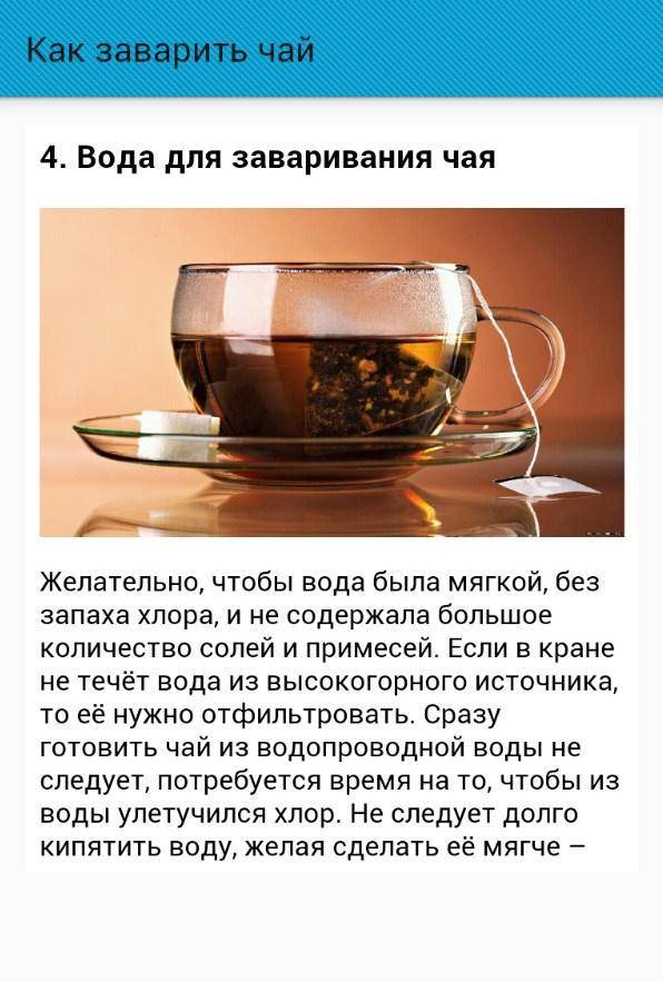 Чай из цикория: польза и правила заваривания