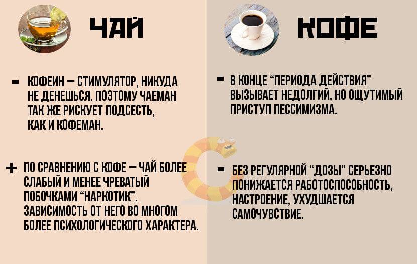 Сравнение чая с кофе — что лучше и полезнее?