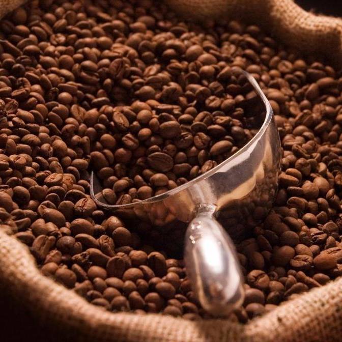 Кофе в зернах: рейтинг лучших и вкусных марок, какой выбрать