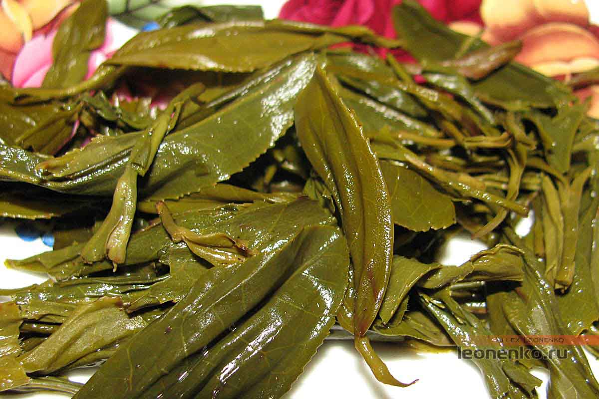 Зелёные чаи сычуани: три колыбели культуры поднебесной - teaterra | teaterra