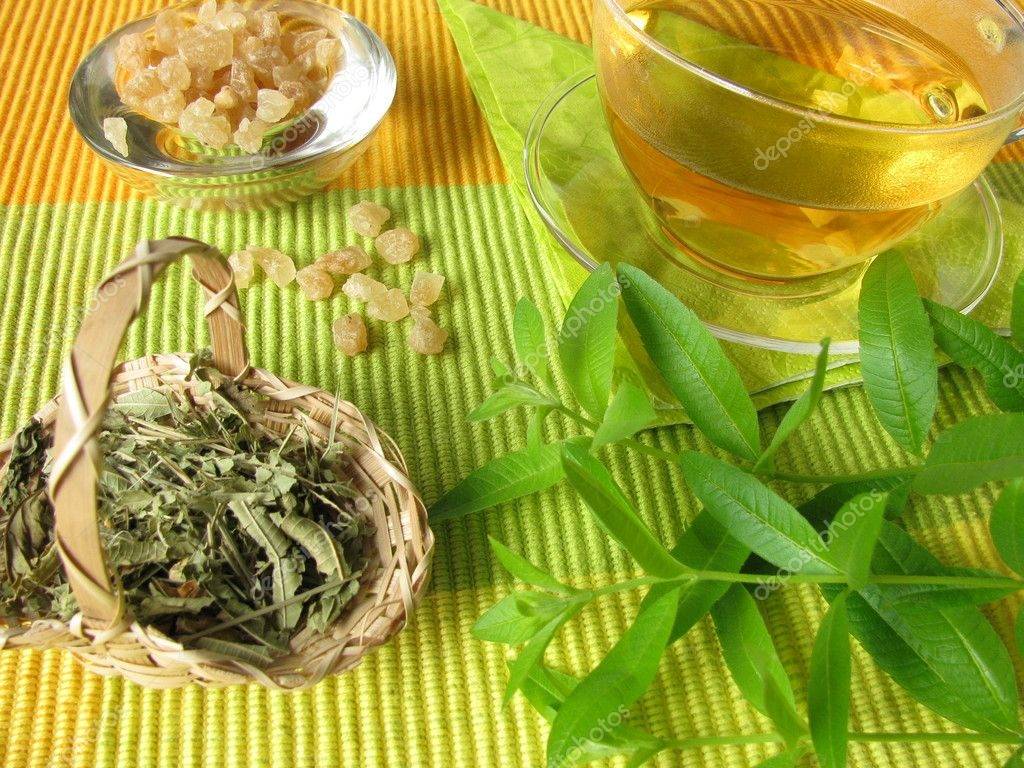 Чай из березовых листьев: польза и вред | польза и вред