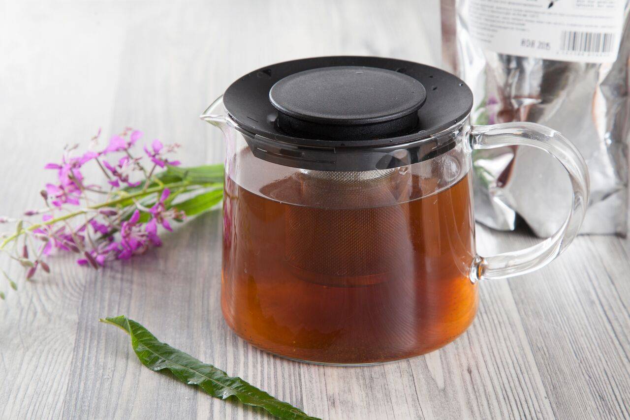 Иван чай: полезные свойства, противопоказания, польза и вред