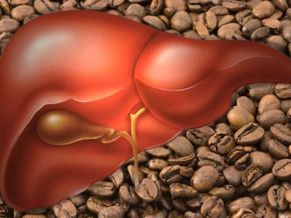 Какое воздействие оказывает кофе на печень: когда и сколько пить напитка без вреда для железы