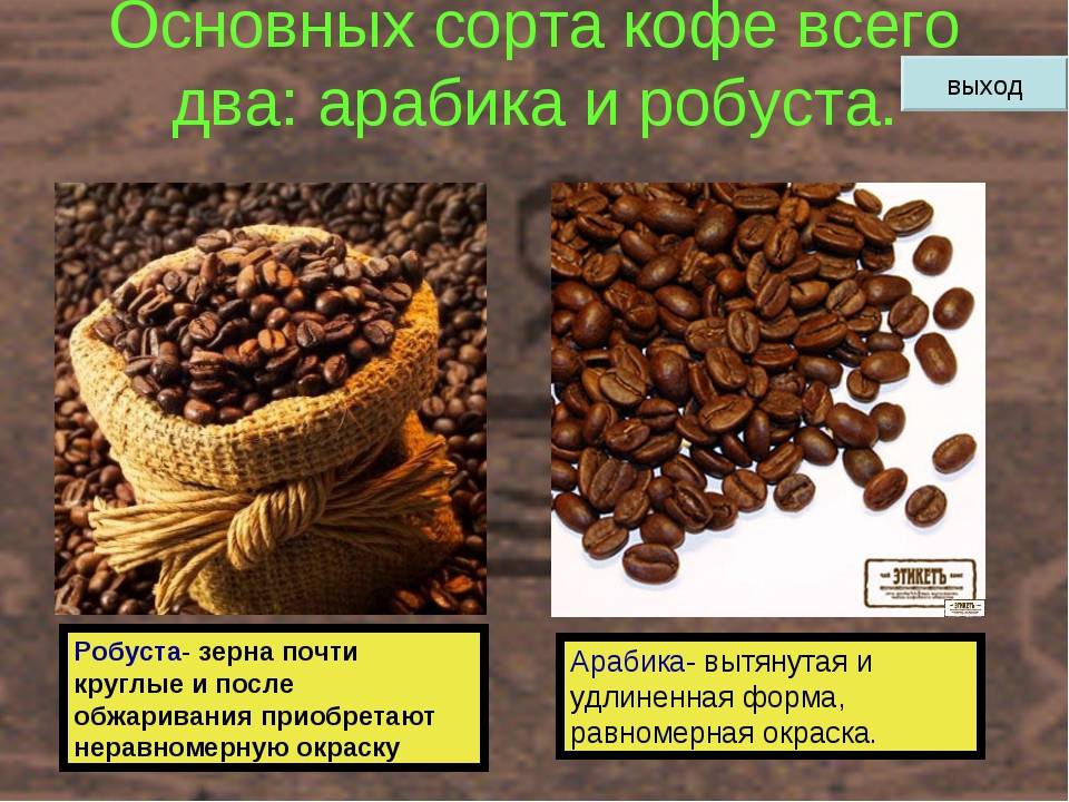 Кофе - виды, названия, способы приготовления и описания популярных напитков