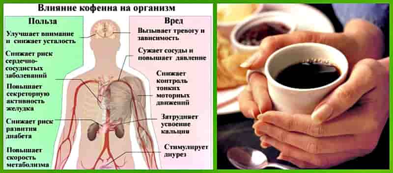 Кофеин: действие на организм, свойства и польза | food and health