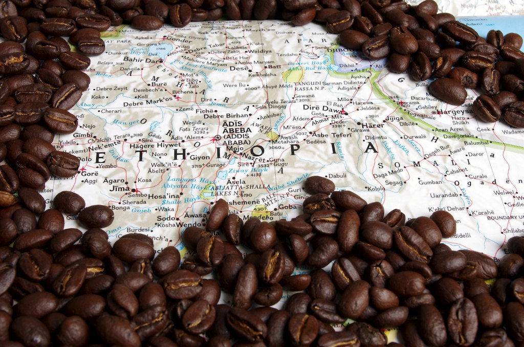 История кофе: родом из эфиопии, торговля началась из йемена