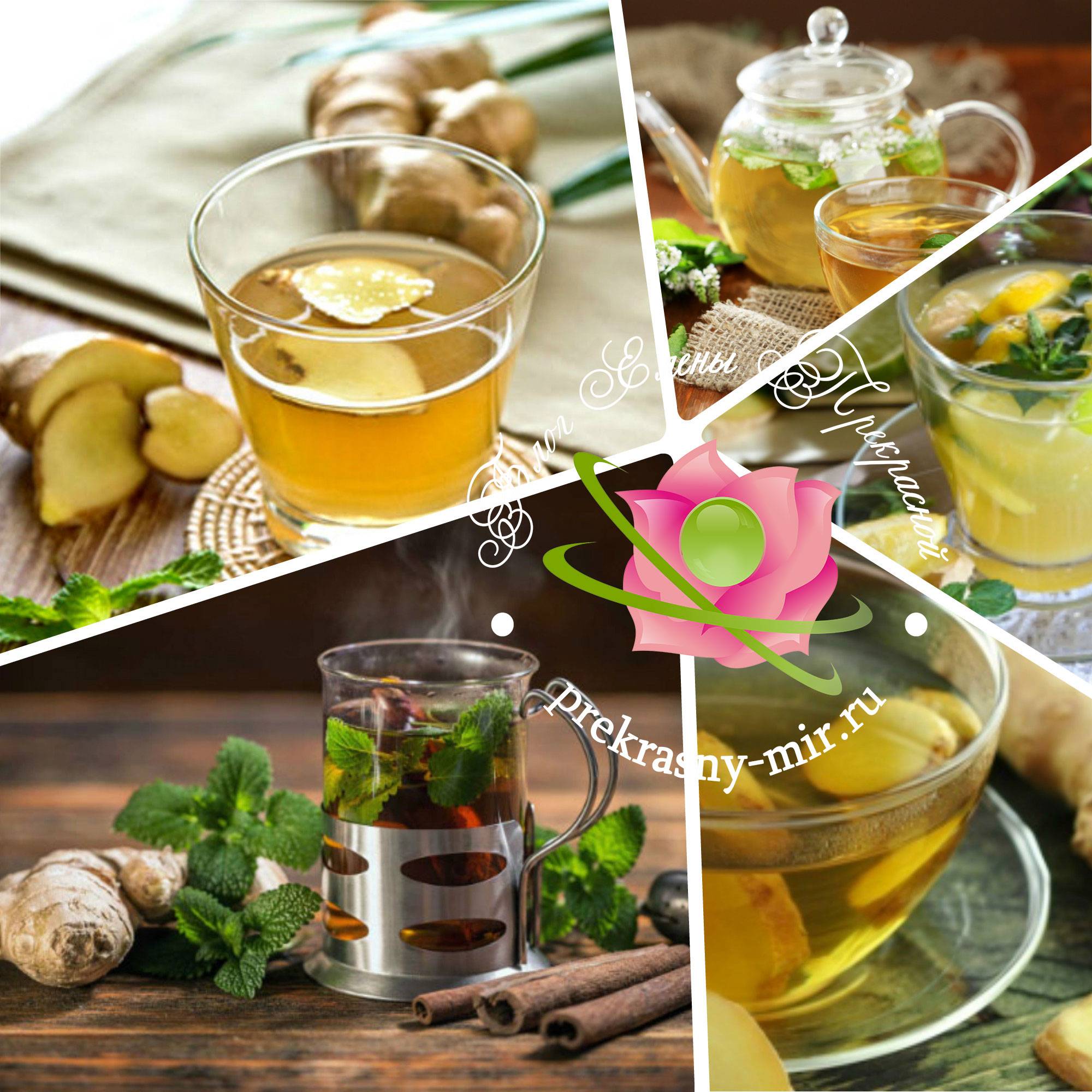 Имбирный чай — польза и рецепты