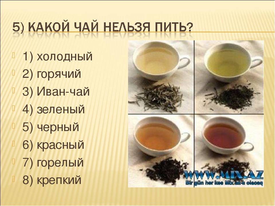 Какой чай полезнее черный или зеленый: правда и ложь