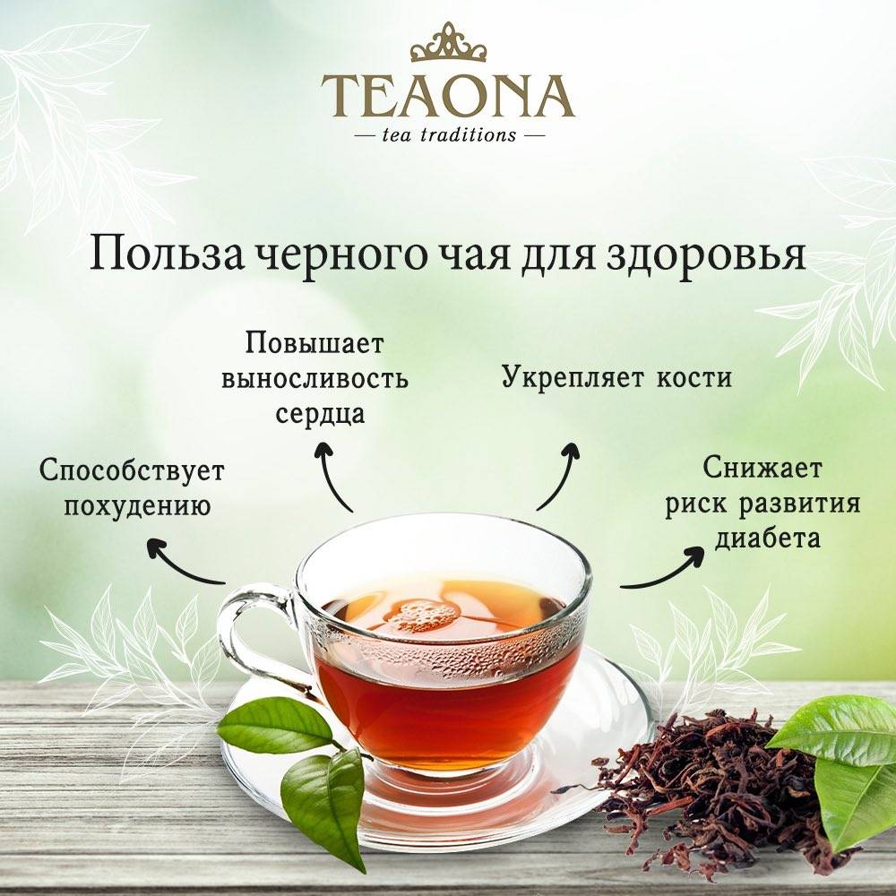 Черный чай: польза и вред для здоровья, какой лучше гранулированный или листовой, отзывы потребителей