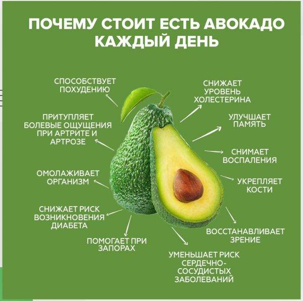 Авокадо: польза и вред, противопоказания, лечебные свойства | здоровье и красота