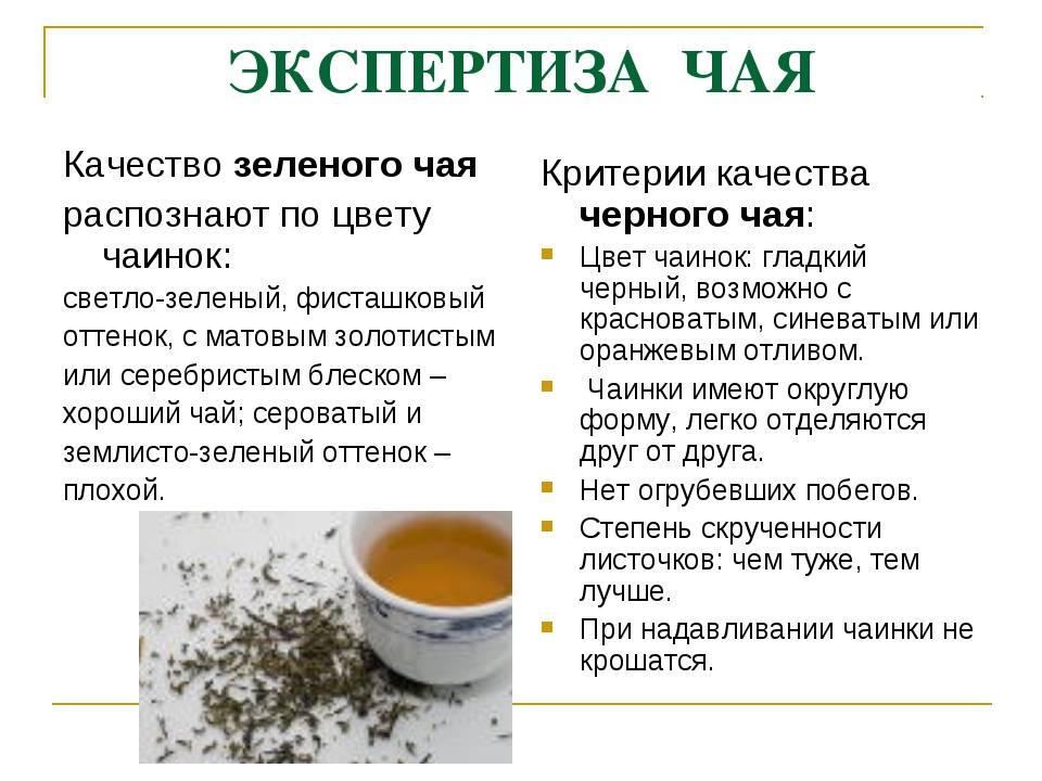 Польза зеленого чая: рекомендации, сорта, как правильно заваривать