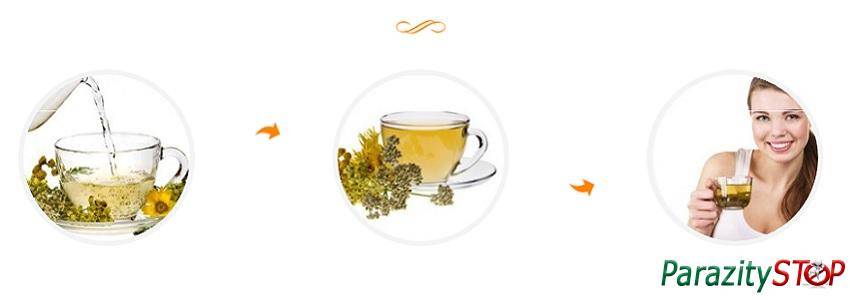 Монастырский чай от алкоголизма: состав трав и реальные отзывы