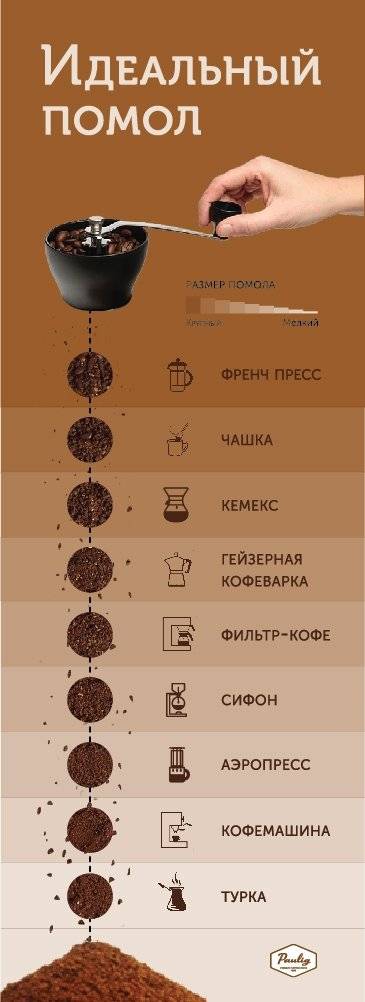 Как выбрать кофе в зернах для кофемашины: основные советы от эксперта, рейтинг лучших и элитных сортов