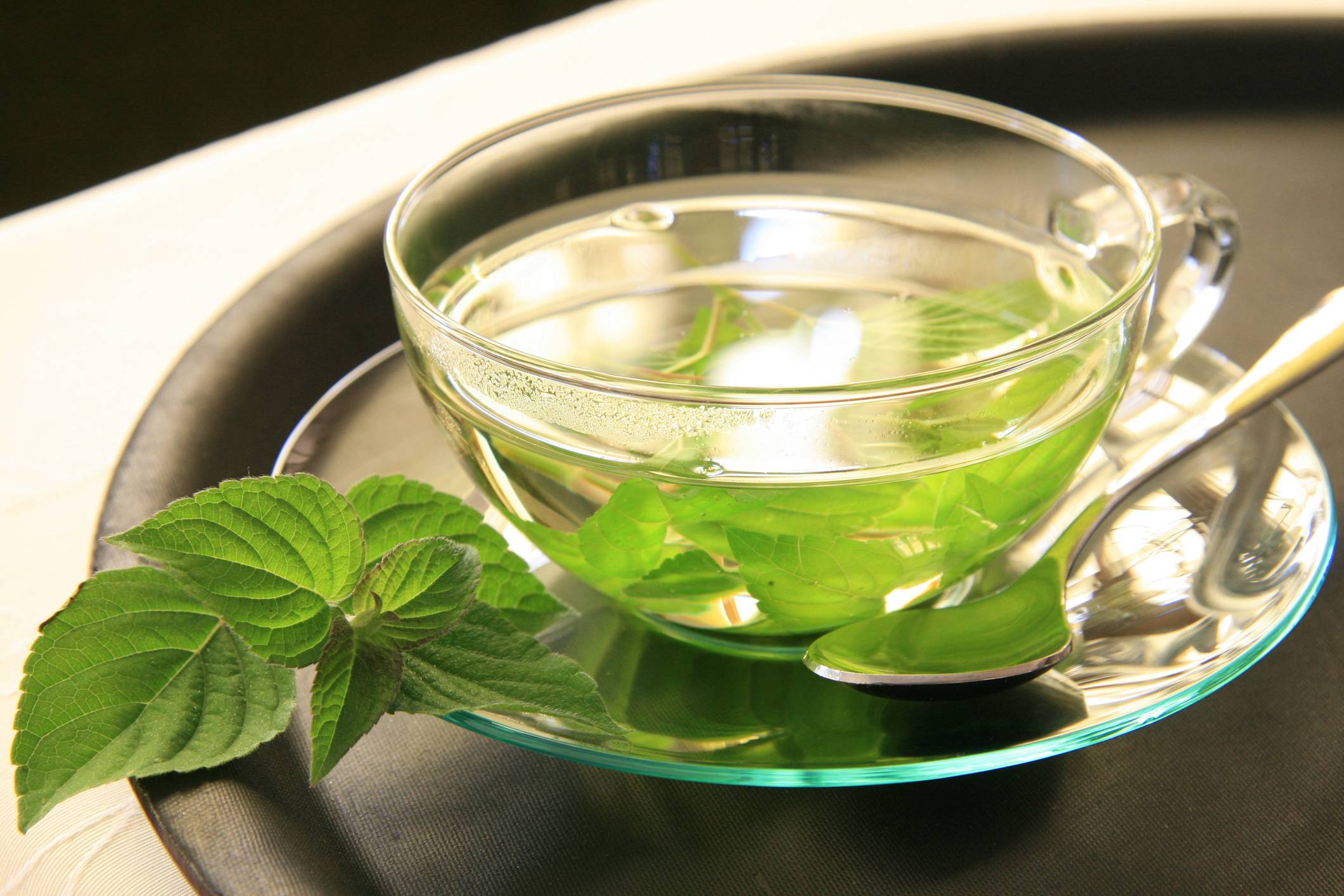 Чем полезен и вреден чай с мятой для организма: полезные свойства для женщин и мужчин, побочные эффекты