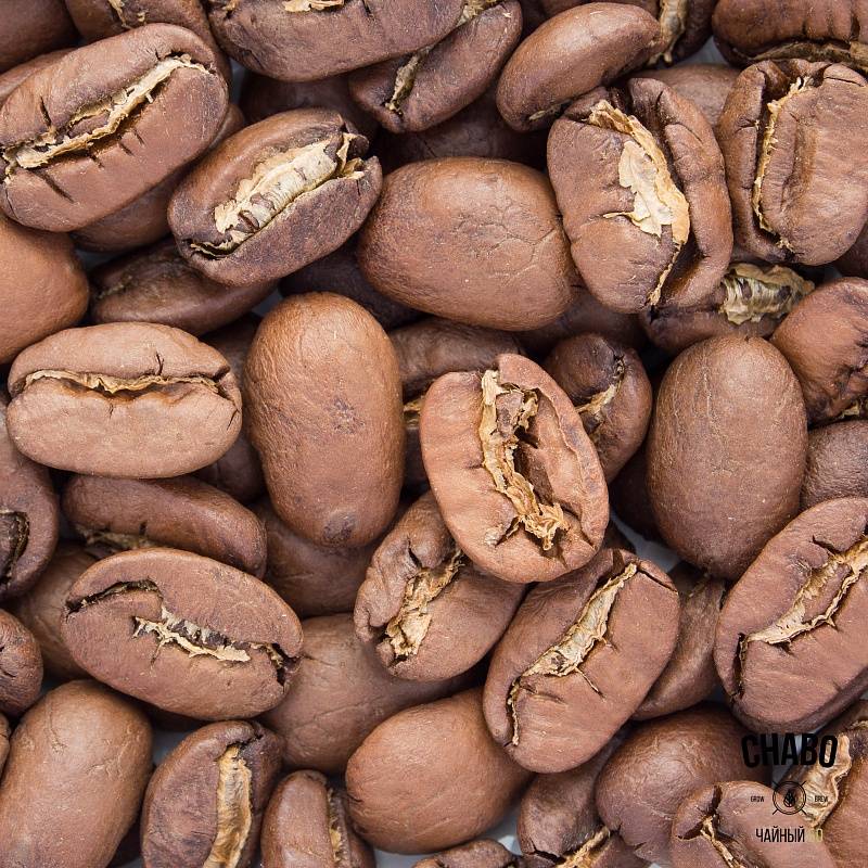 Кофе марагоджип: что это такое, виды, отзывы