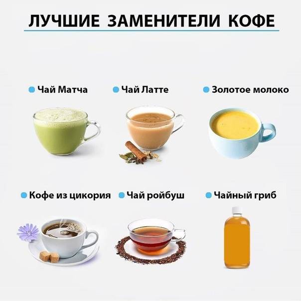 Чем заменить кофе: топ бодрящих напитков, альтернатива кофе
