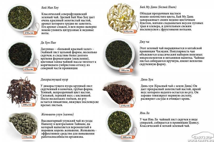 Основные виды чая и их особенности