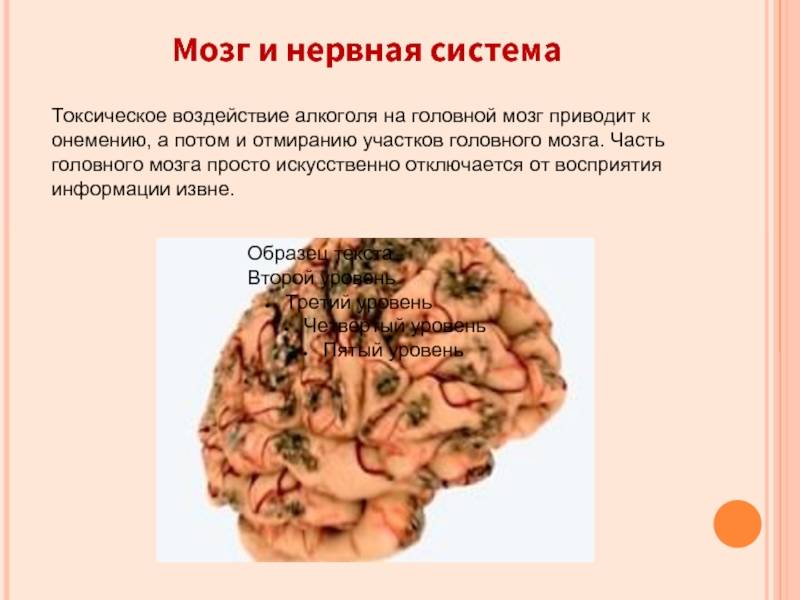 Влияние курения на нервную систему человека. восстановление после отказа | vrednuga.ru