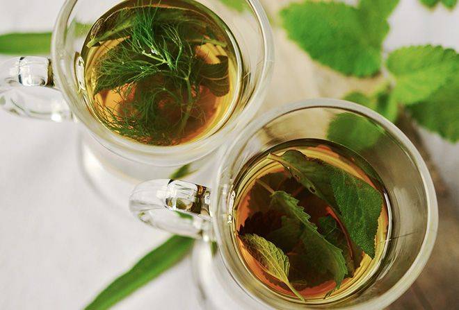 Мятный чай: полезные свойства и противопоказания