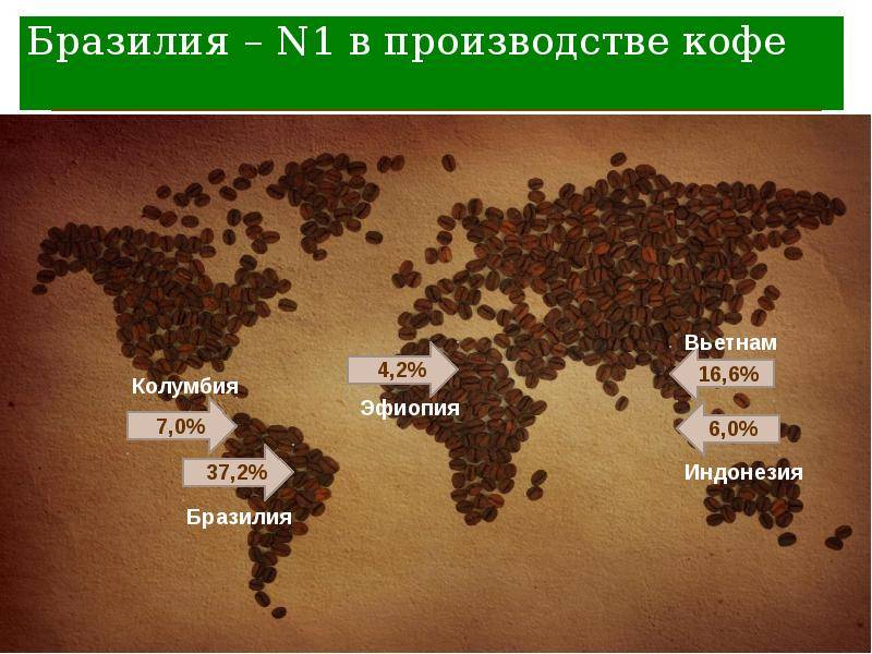 Где выращивают кофе и как он цветет в разных странах