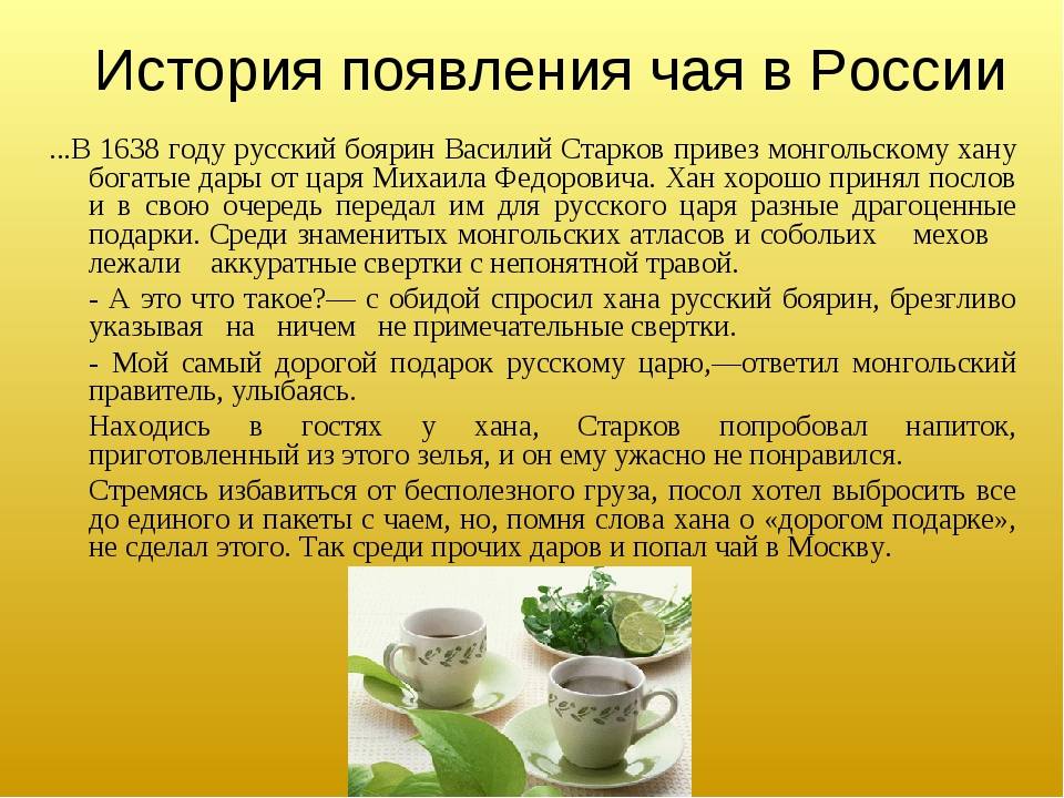 Производство чая в россии, как бизнес: 8 шагов к успеху