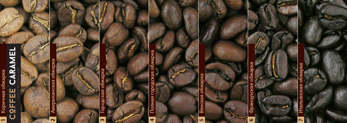 Степень обжарки кофе: на что влияет, виды