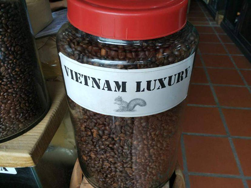 Что следует знать о культуре кофе во вьетнаме?