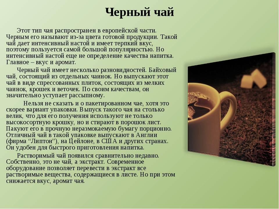 Дарджилинг чай: полезные свойства и разновидности