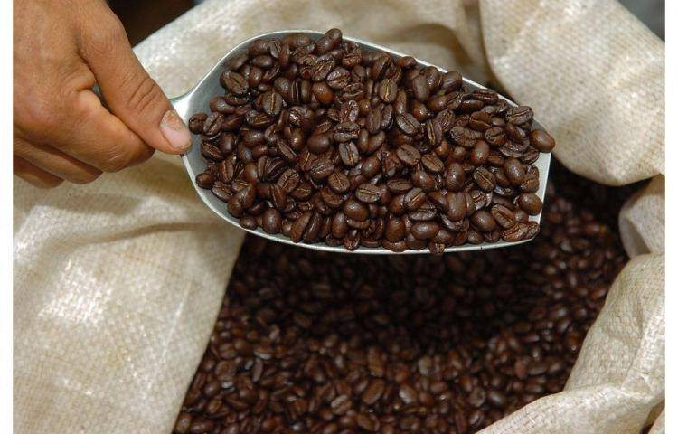 Всё что нужно знать о кофе арабика.