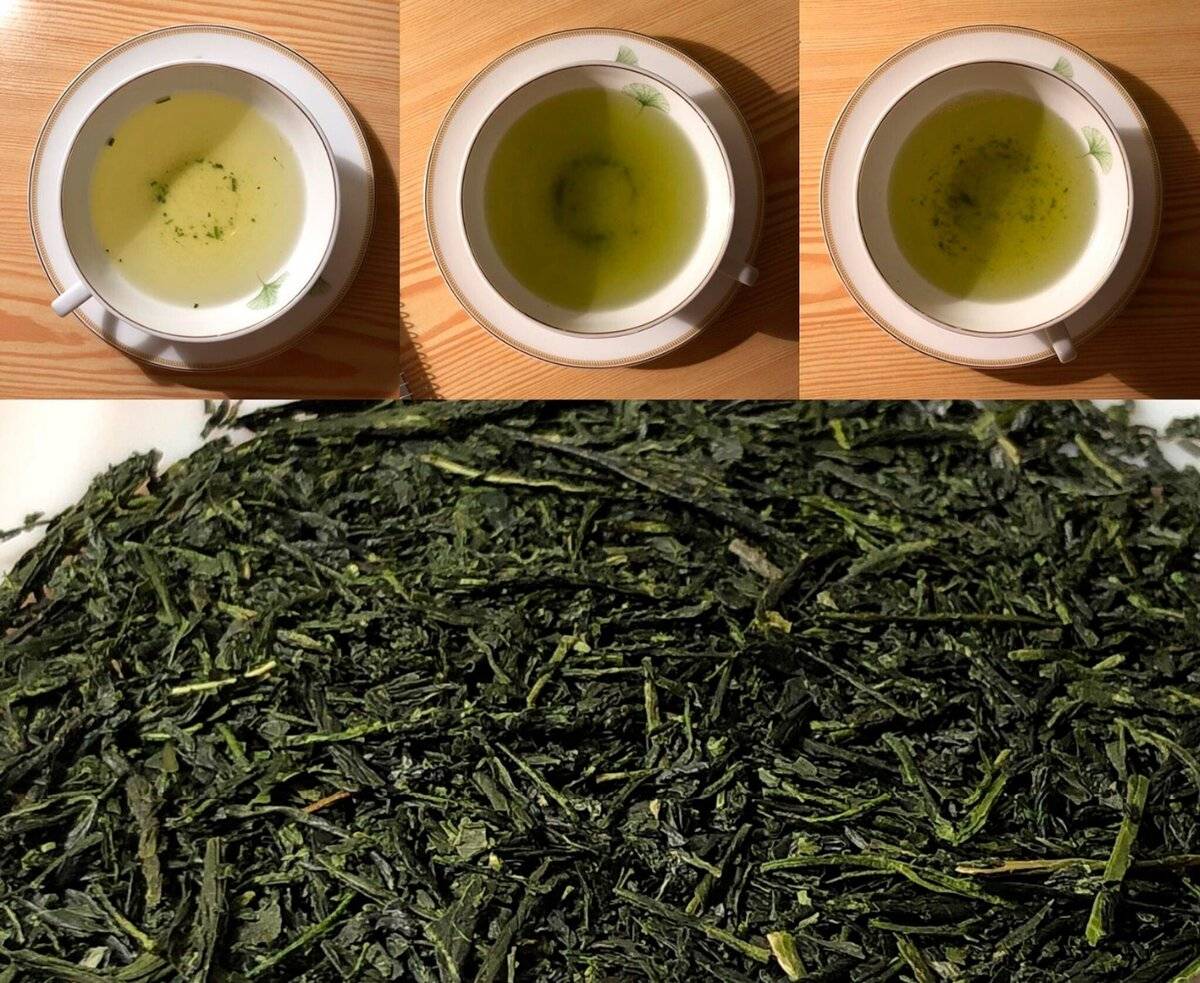 Японский зеленый чай сенча (сэнтя): свойства, как заваривать, виды