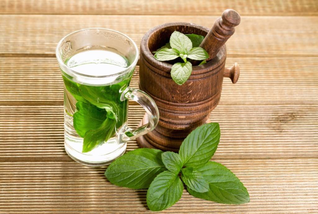 Зеленый чай с мятой: польза и вред, рецепты заваривания