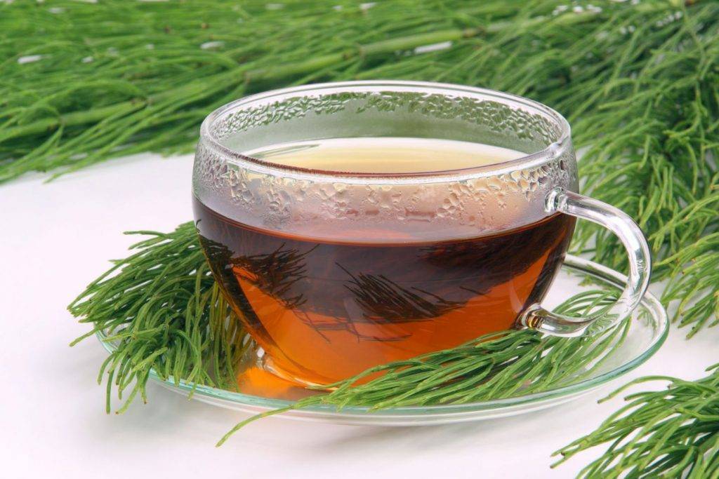 Чай из хвои сосны: польза и вред от применения иголок, правила приготовления и приема