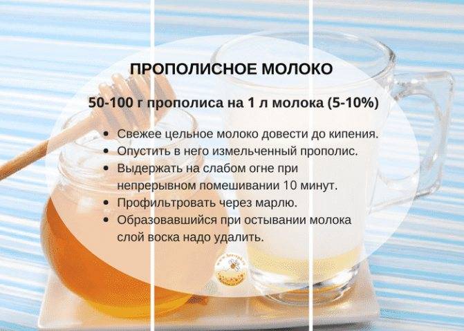 Иван-чай при беременности: можно ли беременным его пить? польза, вред и противопоказания к употреблению на ранних и поздних сроках