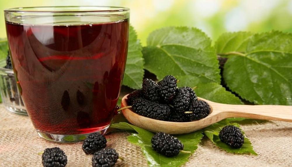 Черничный чай: польза и вред, заваривание, заготовка листьев и ягод