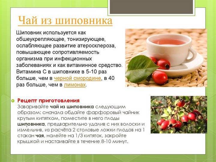Чай эвалар био желудочно-кишечный отзывы - эвалар - первый независимый сайт отзывов россии