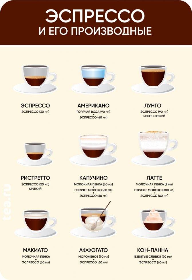 Особенности производства кофе, его виды и виды кофейных напитков