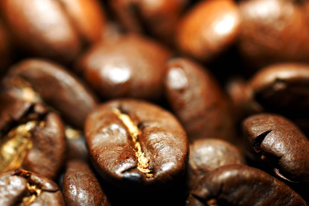 Кофе робуста: особенности зерен, сорта, отличия от арабики