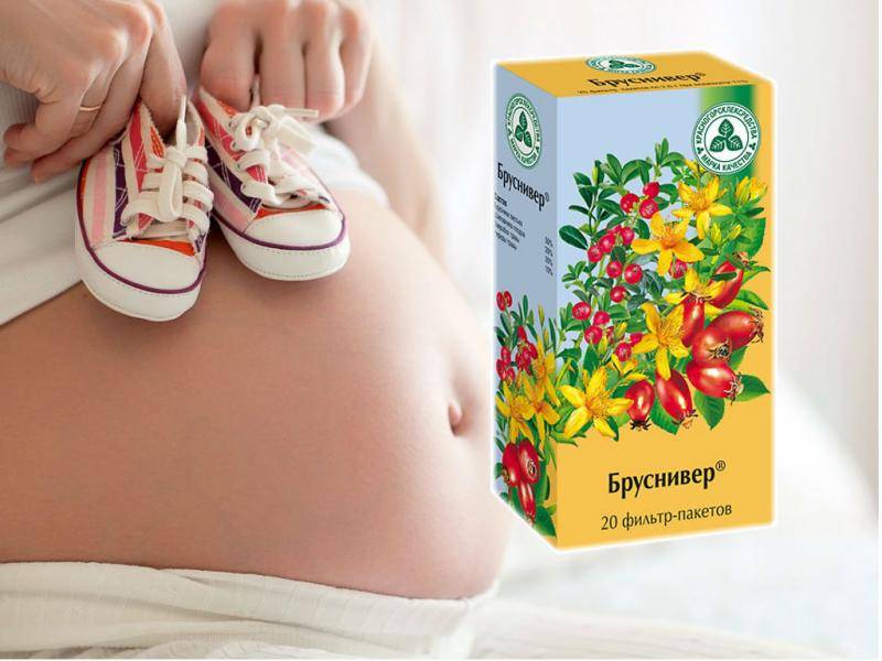 Почечный чай при беременности: можно ли пить во время вынашивания плода, а также инструкция по приготовлению средства от отеков