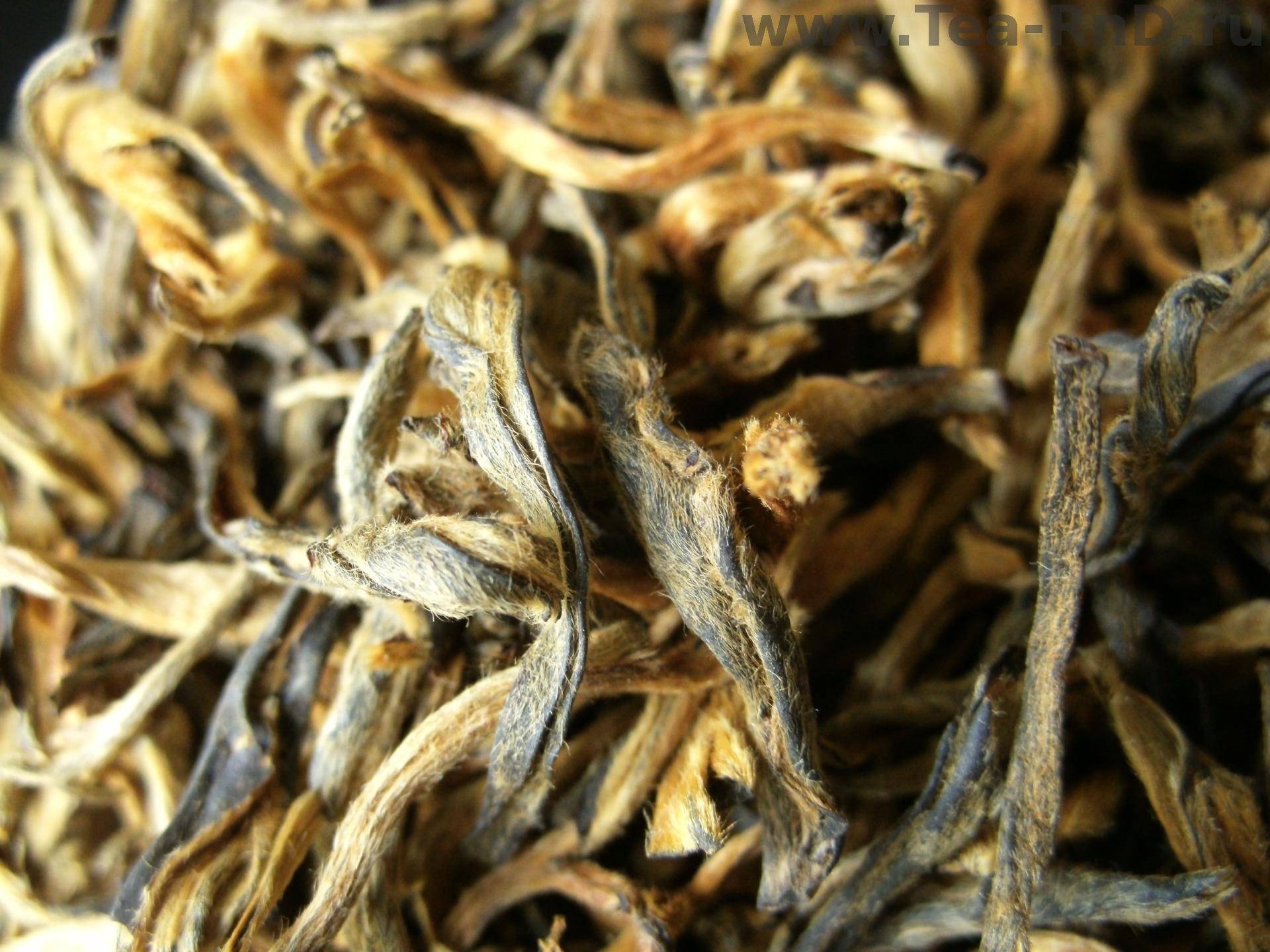 Удивительная история чая, чайные традиции разных стран, свойства чая и способы его заваривания, сорта чая, как выбрать лучший чай.