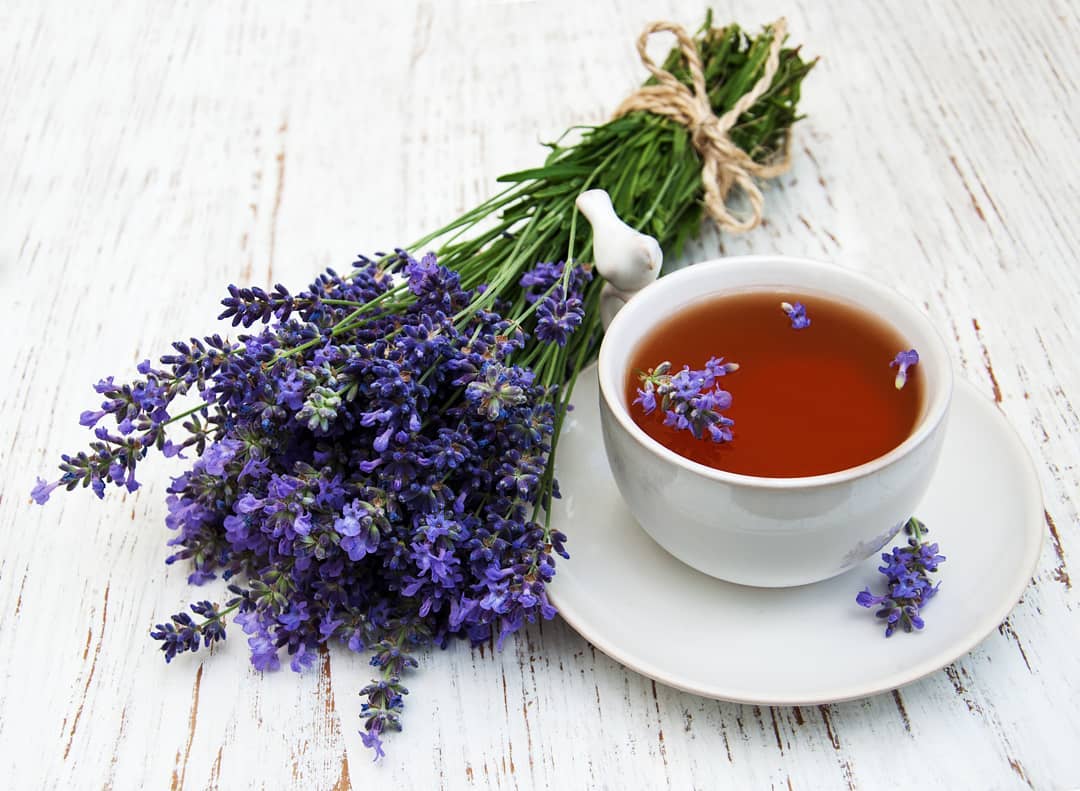 Чай с лавандой:  полезные свойства и рецепты. лавандовое чаепитие на vresurse.com | в ресурсе