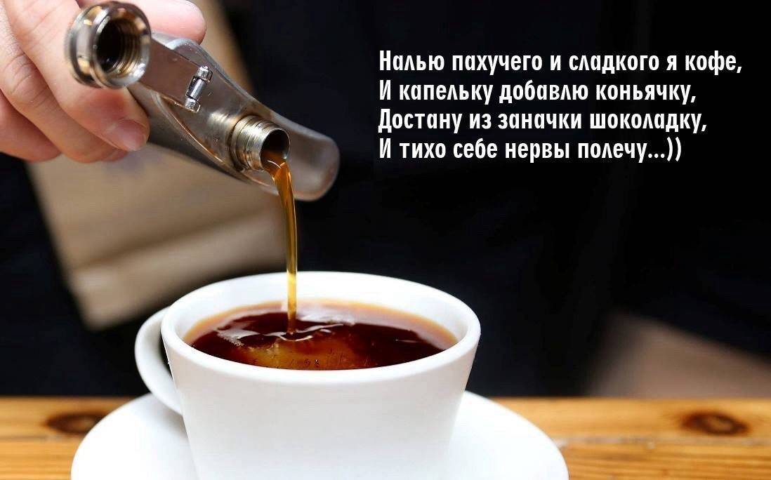 Если не кофе, то что? полезные и бодрящие напитки с кофеином и без — статья на тчк