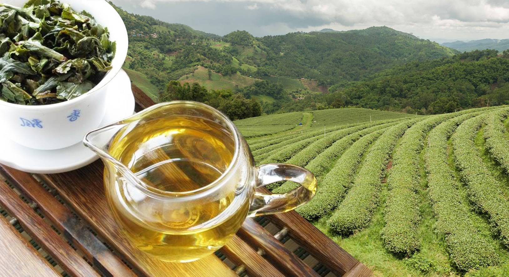 Белый чай. состав, польза, свойства и как заваривать белый чай - знать про все