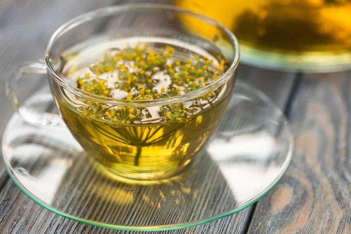 Анисовый чай: полезные свойства и рецепты