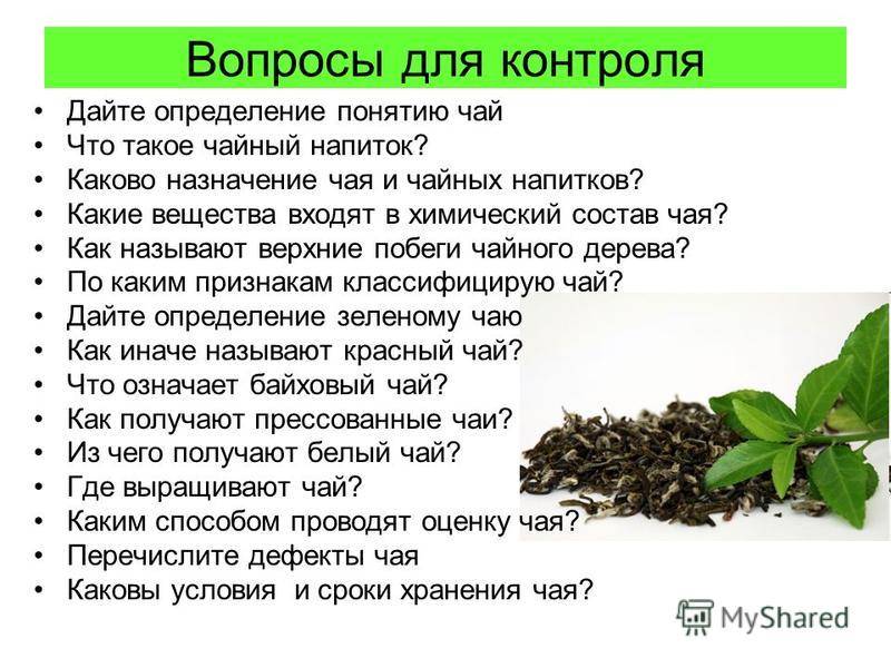 Байховый чай (черный и зеленый): что это такое, польза и вред, производители