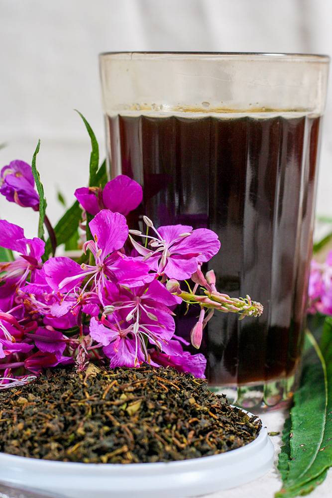 Кипрейный чай: польза и вред чайного напитка из кипрея