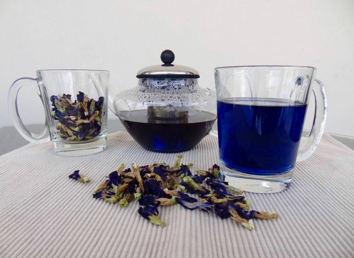 Пурпурный чай чанг-шу для похудения: действие и отзывы