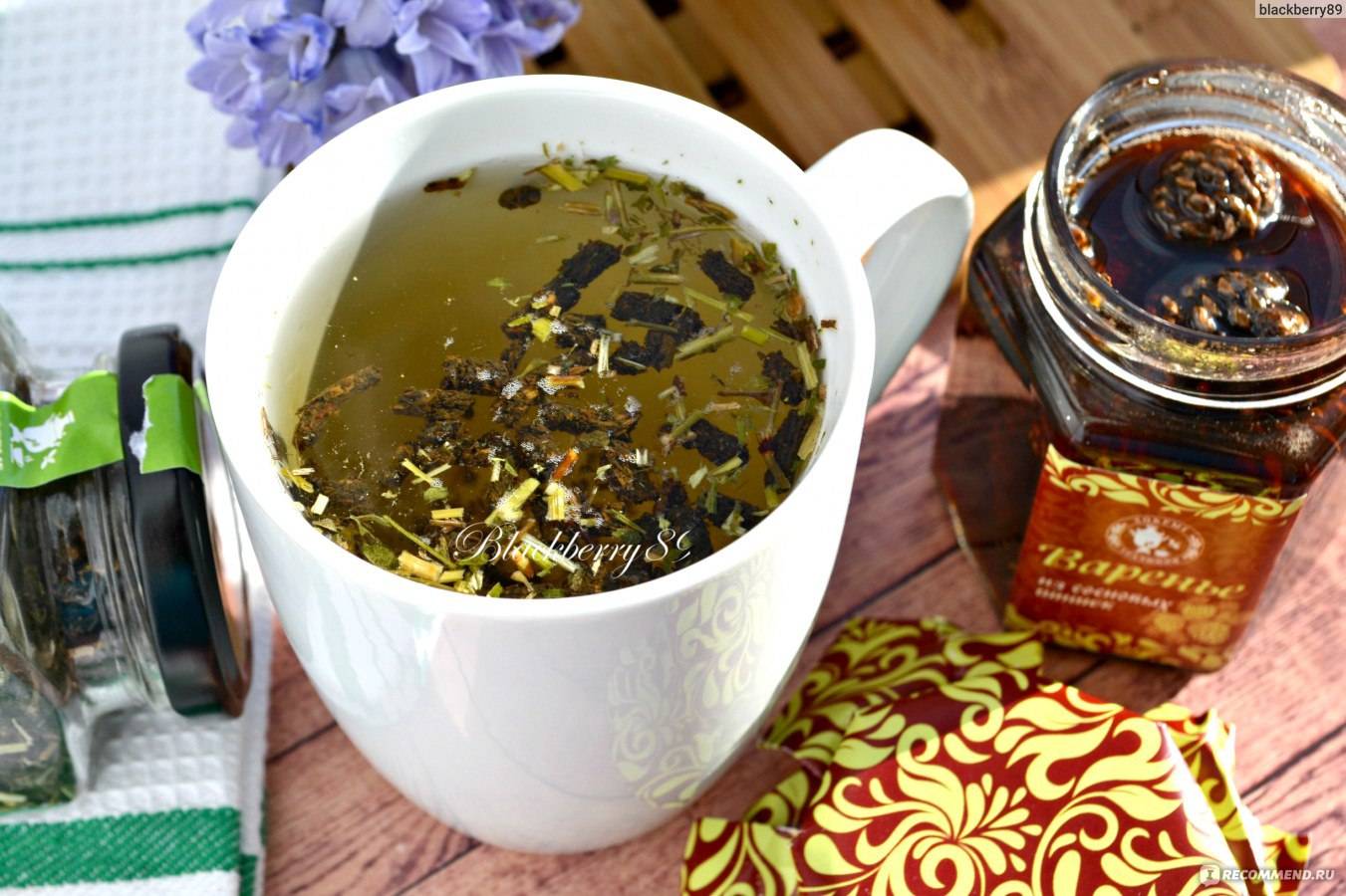 Чай из базилика полезные свойства и противопоказания