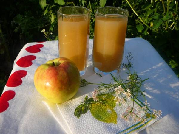 Яблочный кисель - 44 рецепта: кисель | foodini