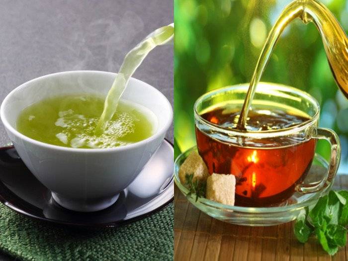 Чай с лавандой: польза и вред для организма