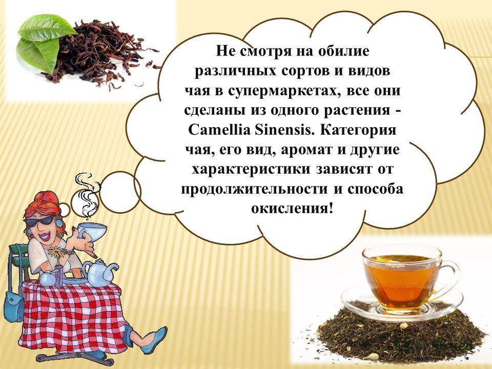 История чая